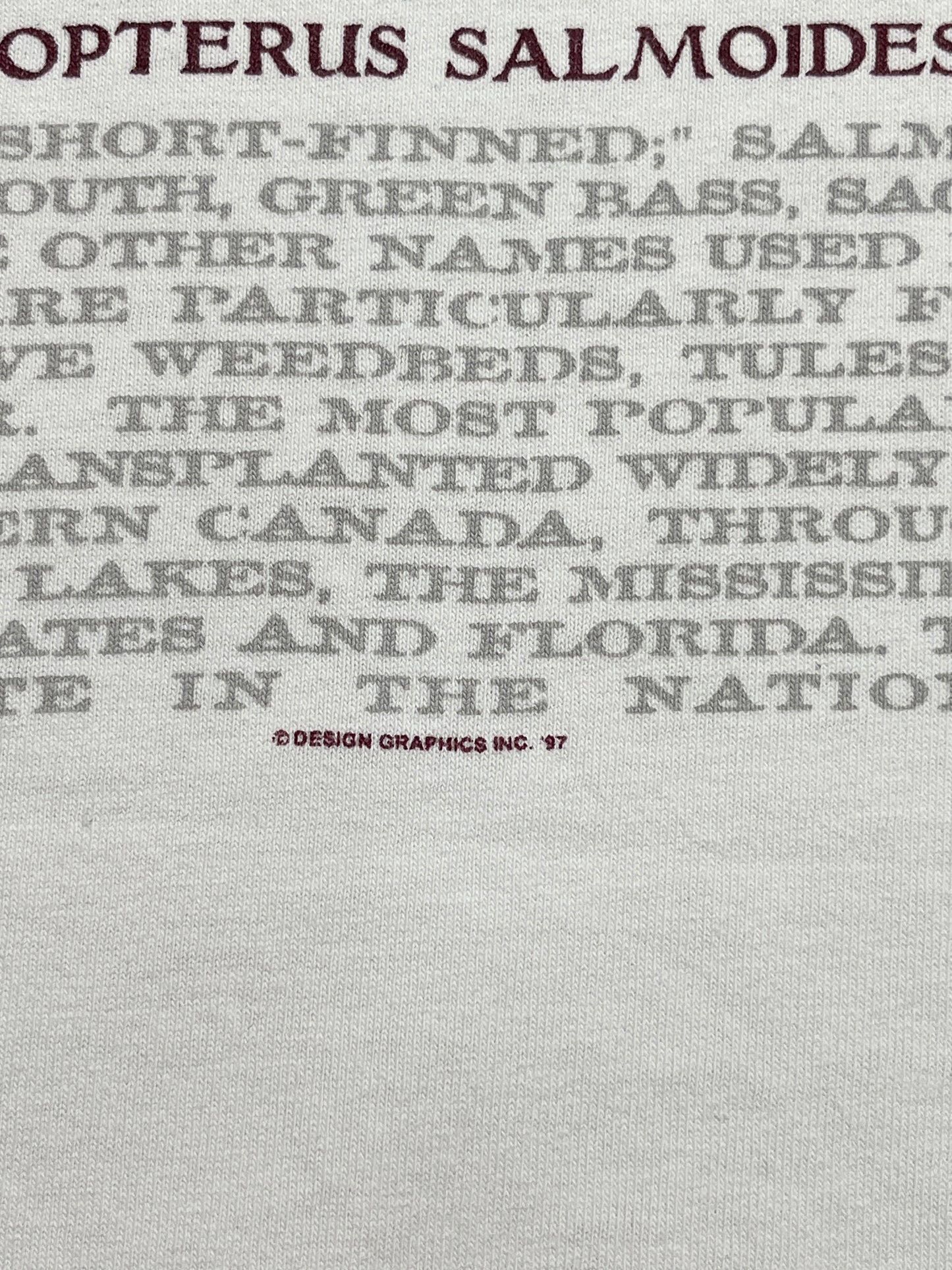 1997 Bass Pro Shops T-shirt - Talla XL