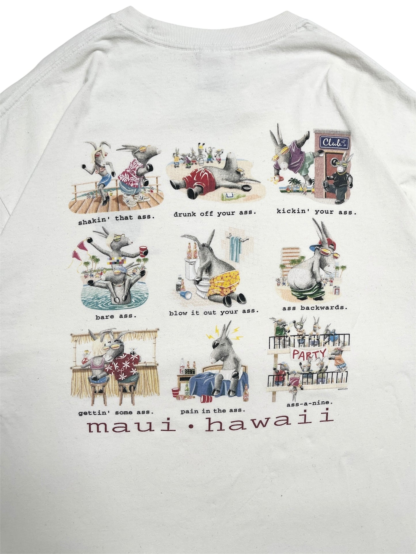 2002 Maui - Hawaii humor t-shirt - Talla XL
